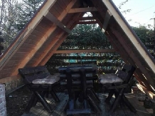Casa Lili - accommodation in  Muntenia (40)