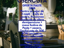 Pensiunea Osencuta - cazare Transilvania (13)