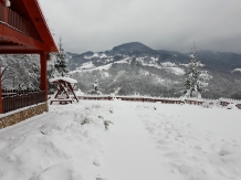 Ferienhaus Magura Bison - alloggio in  Banat (31)