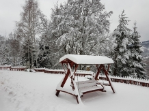 Ferienhaus Magura Bison - alloggio in  Banat (33)