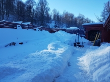 Ferienhaus Magura Bison - alloggio in  Banat (35)