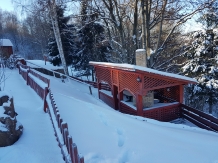 Ferienhaus Magura Bison - alloggio in  Banat (40)