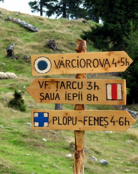 Ferienhaus Magura Bison - cazare Banat (Activitati si imprejurimi) Ferienhaus Magura Bison - cazare Banat (Activitati si imprejurimi)