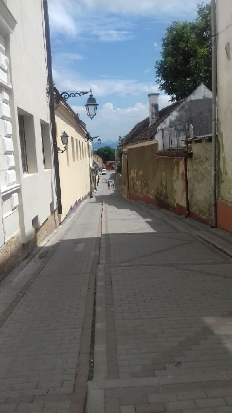 Pensiunea Puiu Popa - alloggio in  Vallata di Brasov (Attivit&agrave; e i dintorni)