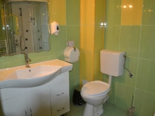 Motel Mesterul Manole - cazare Fagaras, Tara Muscelului (04)