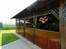 Oasis Rural - accommodation in  Bistrita (10)