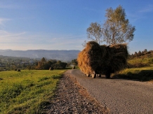 Casuta Bunicilor Breb - cazare Tara Maramuresului (10)