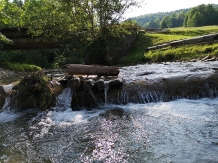 Mosia Vanatorului - alloggio in  Vallata di Brasov (05)