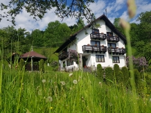 Casa de pe deal - accommodation in  Rucar - Bran, Moeciu, Bran (03)