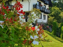 Casa de pe deal - accommodation in  Rucar - Bran, Moeciu, Bran (87)