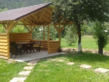 Casa Rim - accommodation in  Muscelului Country (19)