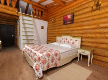 Conacul Maria Theresa - accommodation in  Sibiu Surroundings (12)