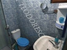 Casa de vacanta Teodorescu - alloggio in  Delta del Danubio (10)