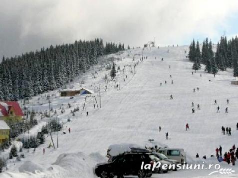 Pensiunea Cetina - accommodation in  North Oltenia, Transalpina (Surrounding)