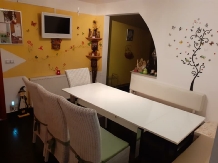 Casa Marinela - accommodation in  Baile Felix (16)