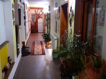 Casa Marinela - accommodation in  Baile Felix (17)