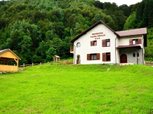 Valea Pinului - cazare Marginimea Sibiului (01)