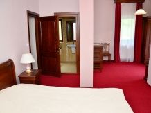 Valea Pinului - accommodation in  Sibiu Surroundings (11)