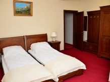 Valea Pinului - accommodation in  Sibiu Surroundings (14)