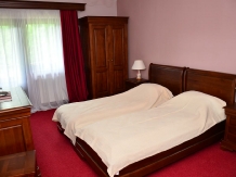 Valea Pinului - accommodation in  Sibiu Surroundings (20)