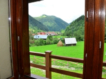 Valea Pinului - accommodation in  Sibiu Surroundings (22)