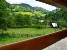 Valea Pinului - cazare Marginimea Sibiului (23)