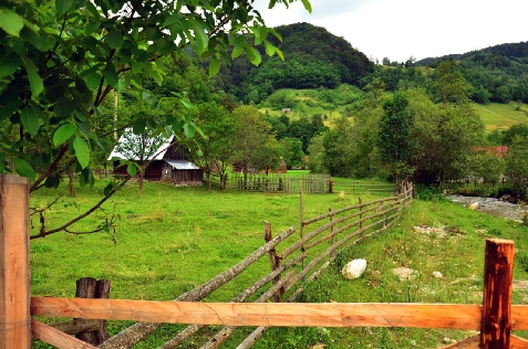 Valea Pinului - accommodation in  Sibiu Surroundings (Surrounding)