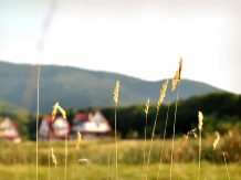 Plaiul Lisei - alloggio in  Transilvania (03)