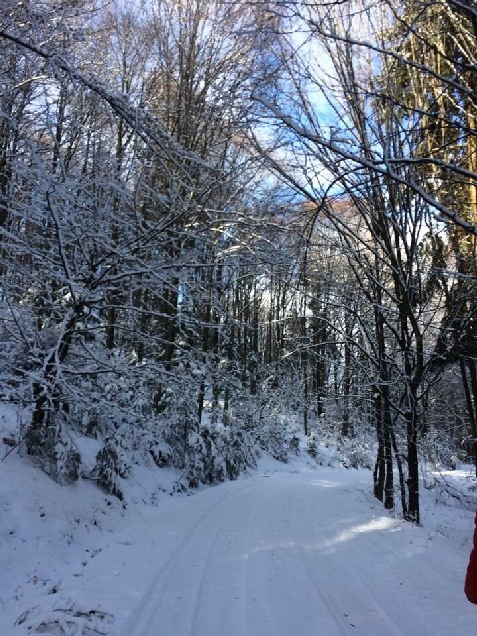 Plaiul Lisei - alloggio in Transilvania (Attività e i dintorni) Plaiul Lisei - alloggio in Transilvania (Attività e i dintorni)