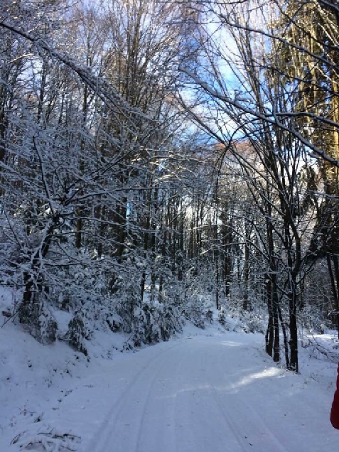 Plaiul Lisei - alloggio in  Transilvania (Attivit&agrave; e i dintorni)