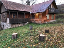 Cabana Fagetul Ierii - accommodation in  Transylvania (01)