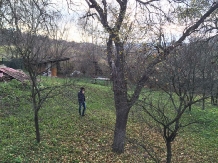 Cabana Fagetul Ierii - cazare Transilvania (05)