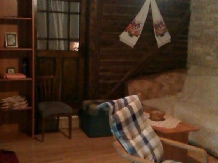 Cabana Fagetul Ierii - cazare Transilvania (06)