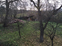 Cabana Fagetul Ierii - cazare Transilvania (13)