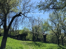 Cabana Fagetul Ierii - cazare Transilvania (17)