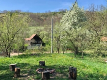Cabana Fagetul Ierii - accommodation in  Transylvania (19)