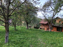 Cabana Fagetul Ierii - accommodation in  Transylvania (20)