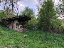 Cabana Fagetul Ierii - cazare Transilvania (21)