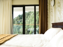 Resort David - accommodation in  Rucar - Bran (05)