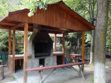 Pensiunea Meledic - accommodation in  Muntenia (06)