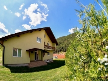 Green House - accommodation in  Sibiu Surroundings (01)