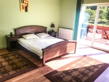 Green House - accommodation in  Sibiu Surroundings (09)