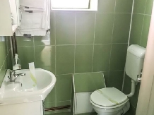 Green House - cazare Marginimea Sibiului (12)