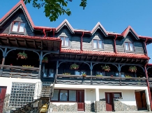 Pensiunea Borsa - alloggio in  Tara Maramuresului (04)
