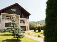 Pensiunea Borsa - alloggio in  Tara Maramuresului (11)