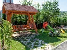 Pensiunea Borsa - alloggio in  Tara Maramuresului (17)