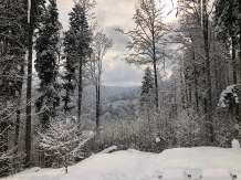 Cabana La Ardeii - alloggio in  Valle di Prahova (59)