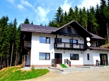 Pensiunea Vatra Bucovinei - accommodation in  Vatra Dornei, Bucovina (01)