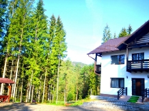 Pensiunea Vatra Bucovinei - accommodation in  Vatra Dornei, Bucovina (02)