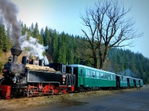 Pensiunea Vatra Bucovinei - cazare Vatra Dornei, Bucovina (10)